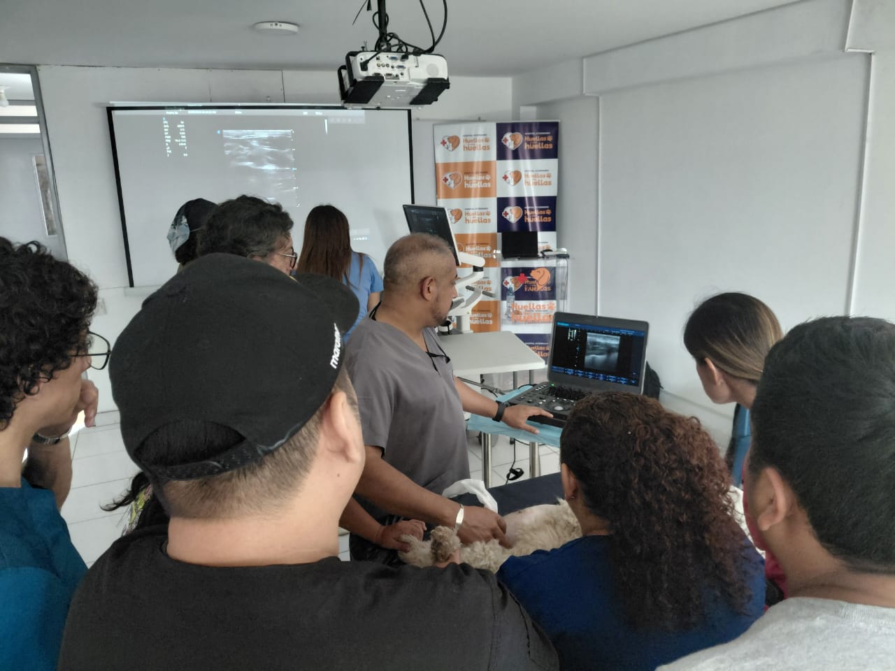 Taller de ecografía veterinaria
