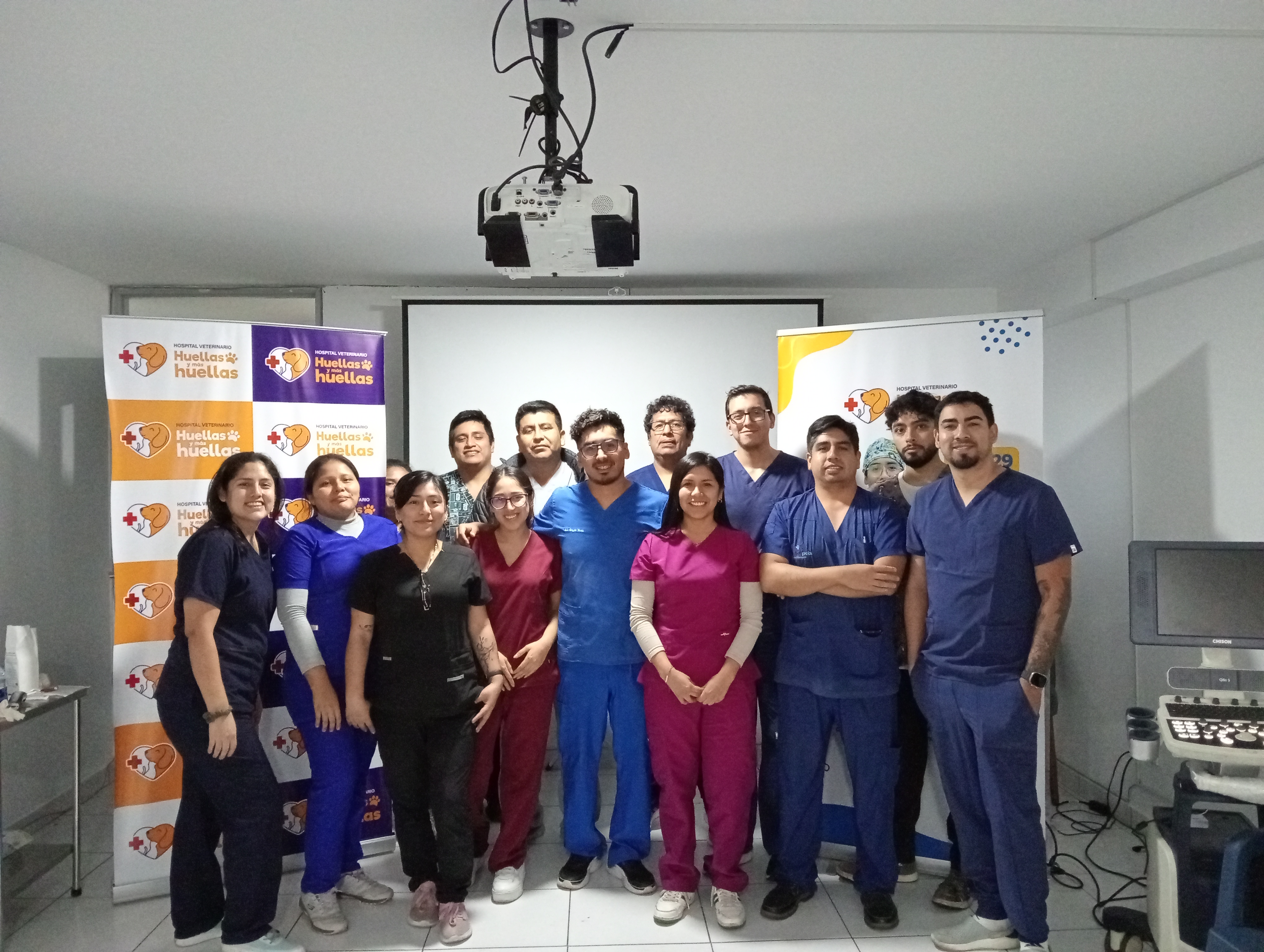 Taller grupal de veterinaria