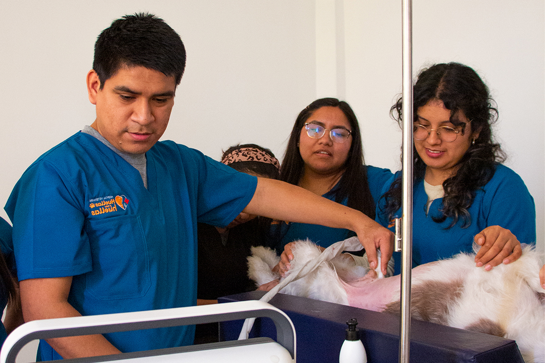 Equipo Veterinario Especializado